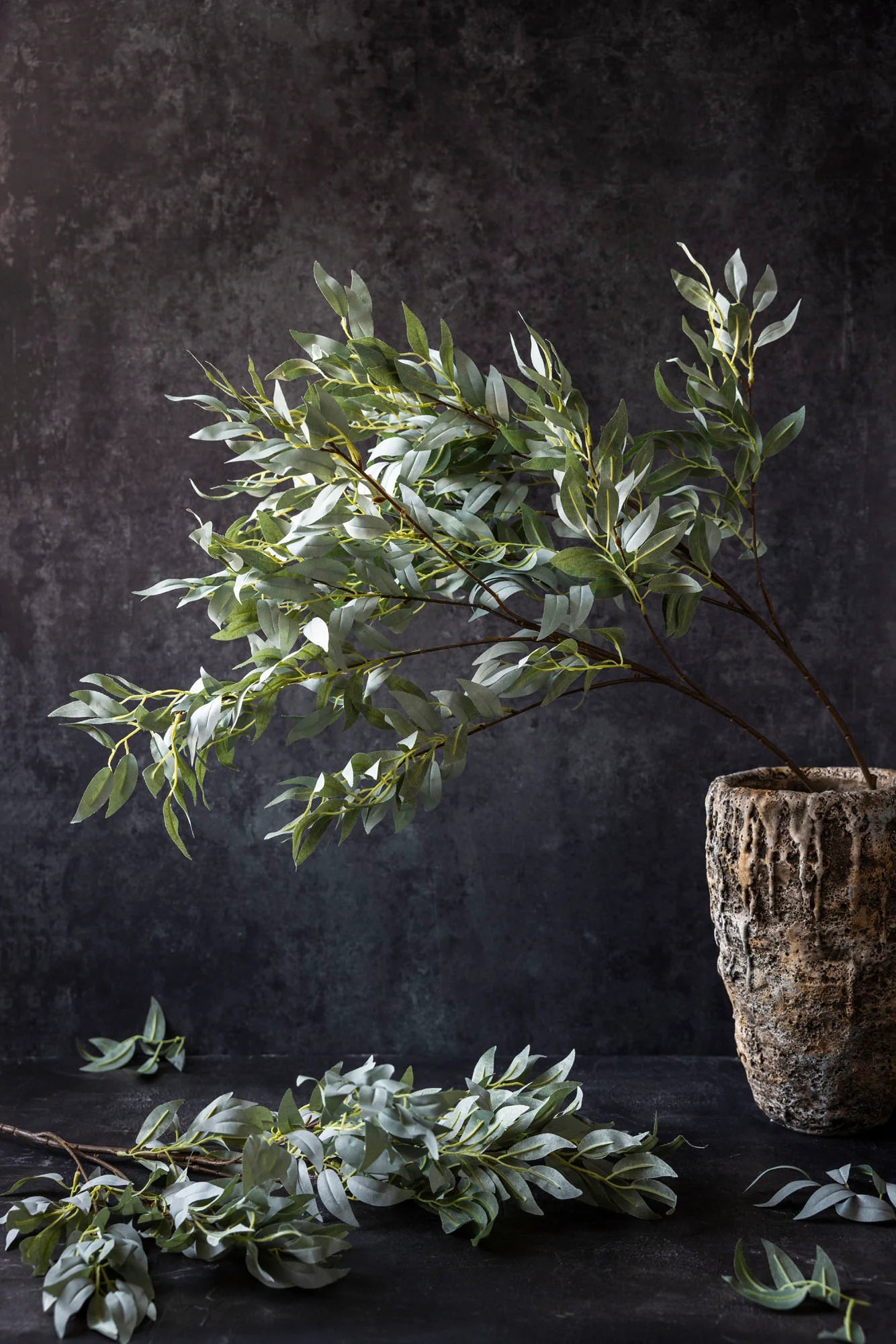 willow emerald foliage