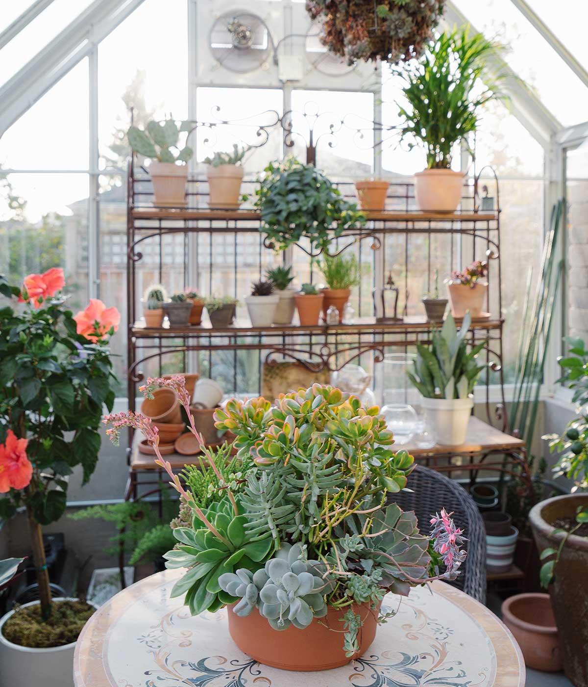 Greenhouse interior