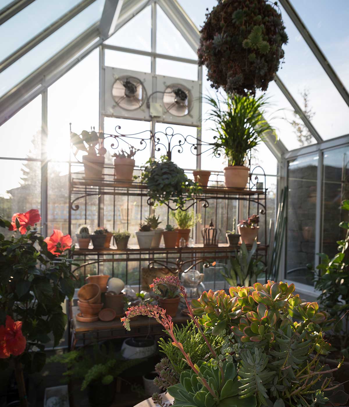 Greenhouse interior garden