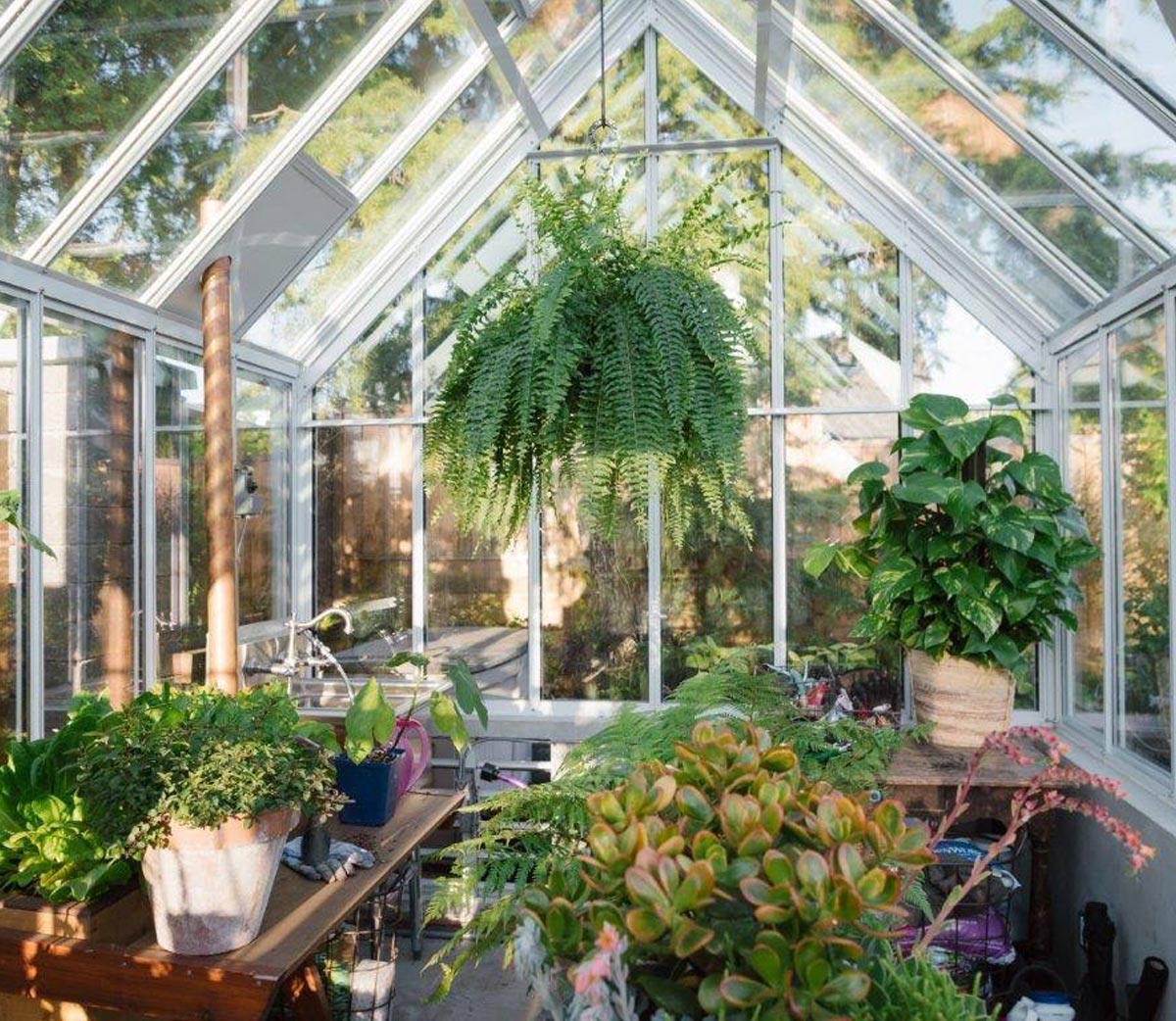 Greenhouse garden