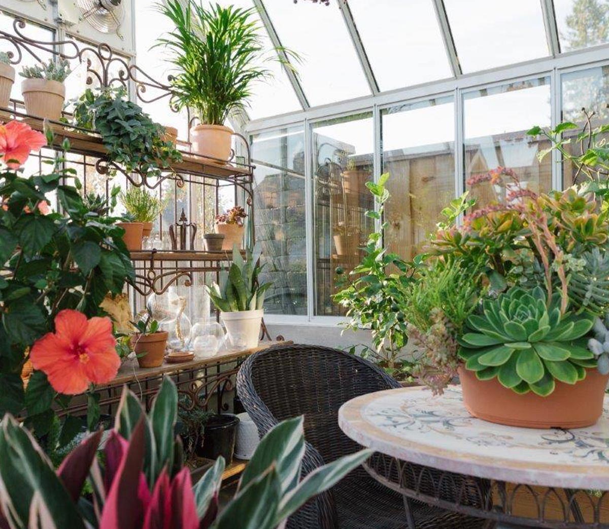 BC Greenhouse