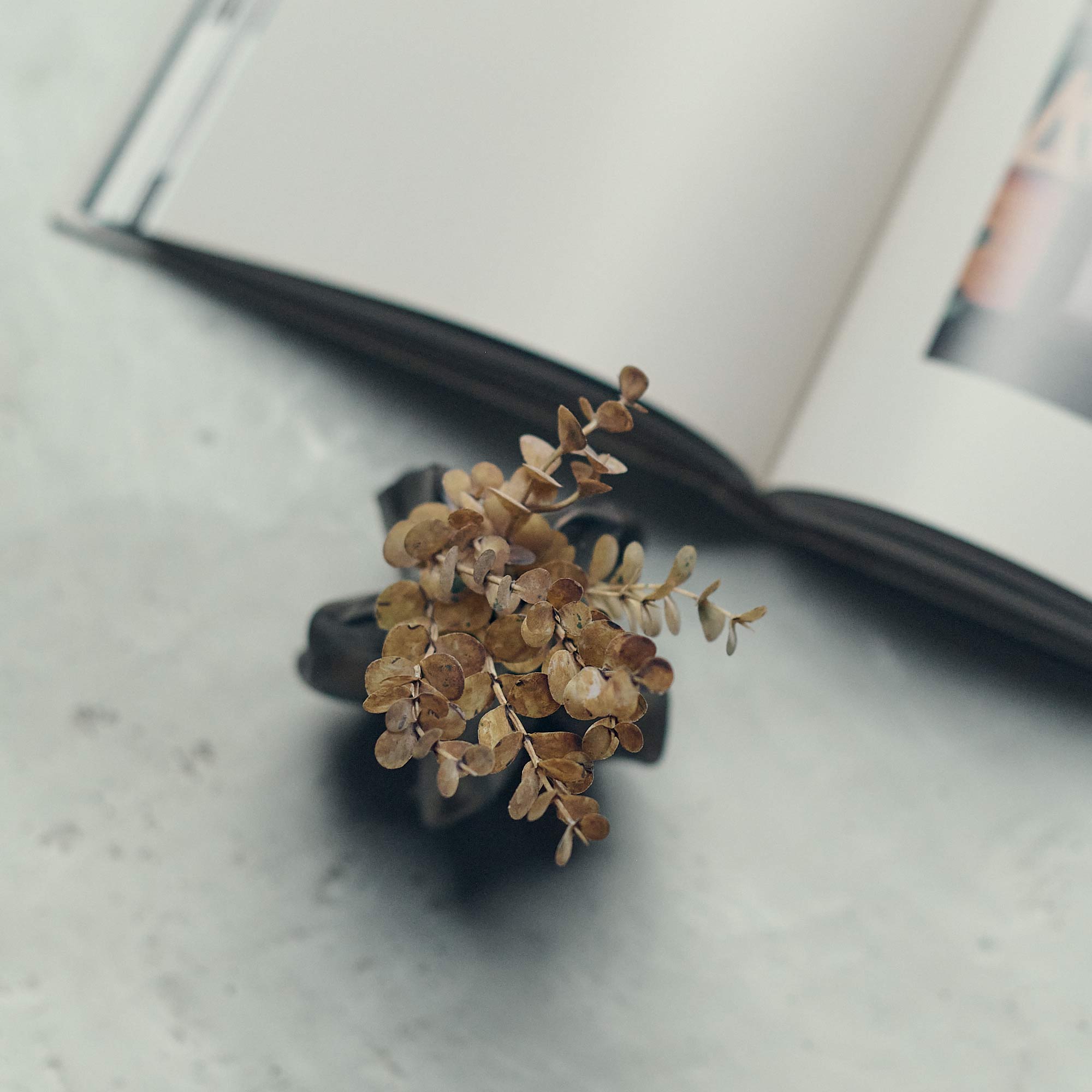 Earth-toned faux eucalyptus stems in home setting for everyday display