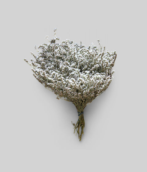 Dired statice flower for wreaths and seasonal bouquets