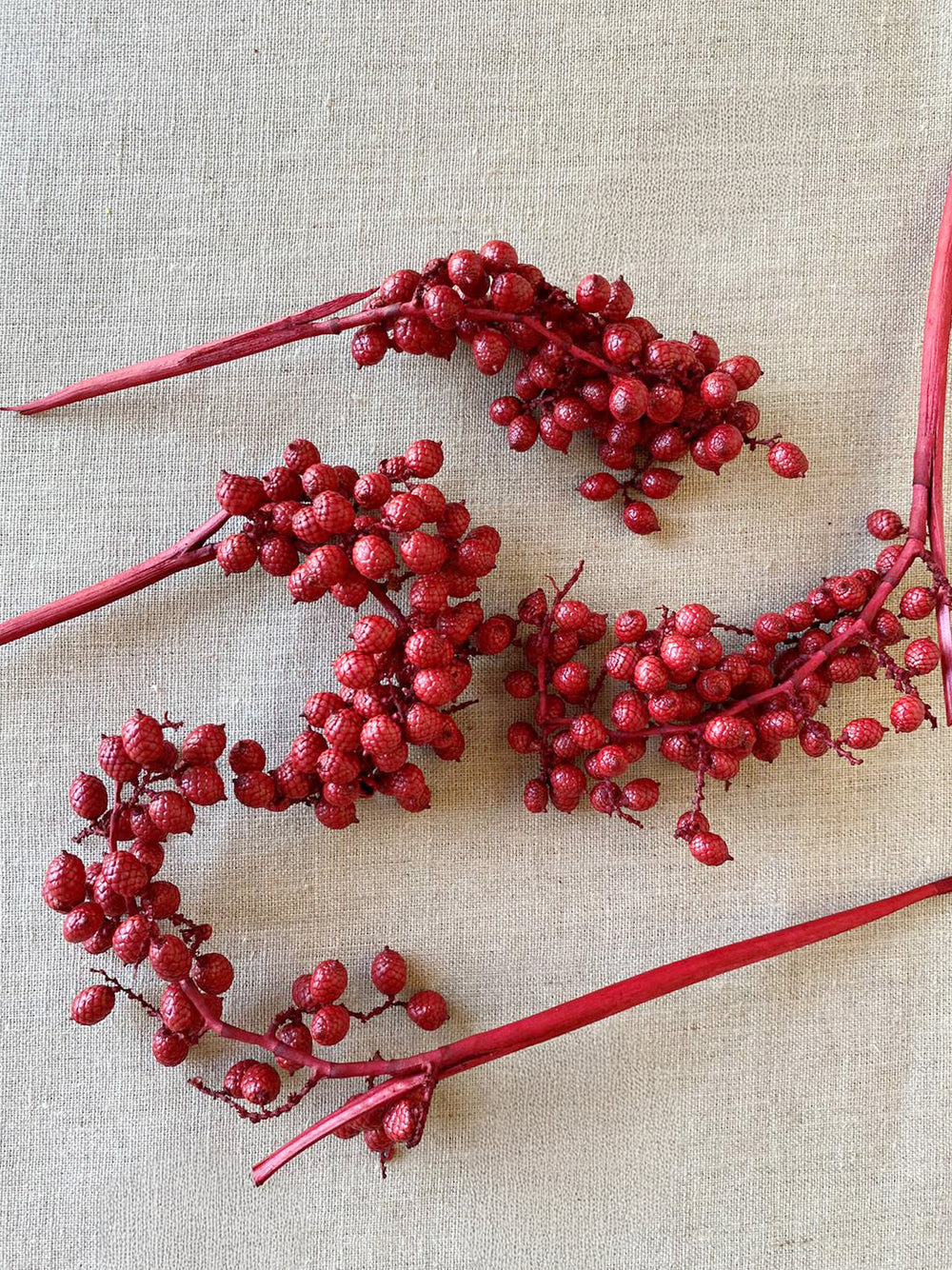 Dried Red Canella Berry Stems for seasonal decor and winter floral styling