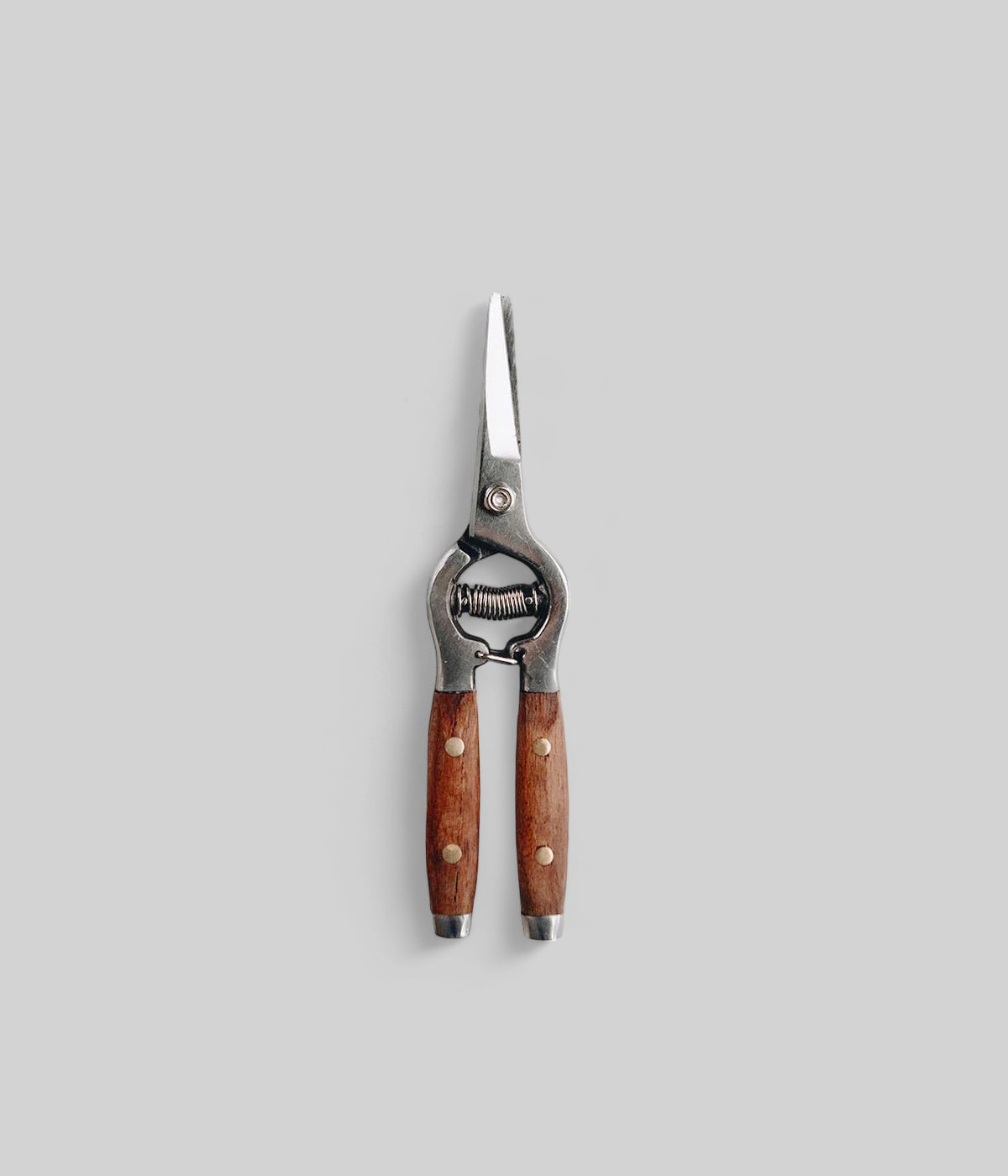 Redwood Handle Floral Shears with stainless steel blades