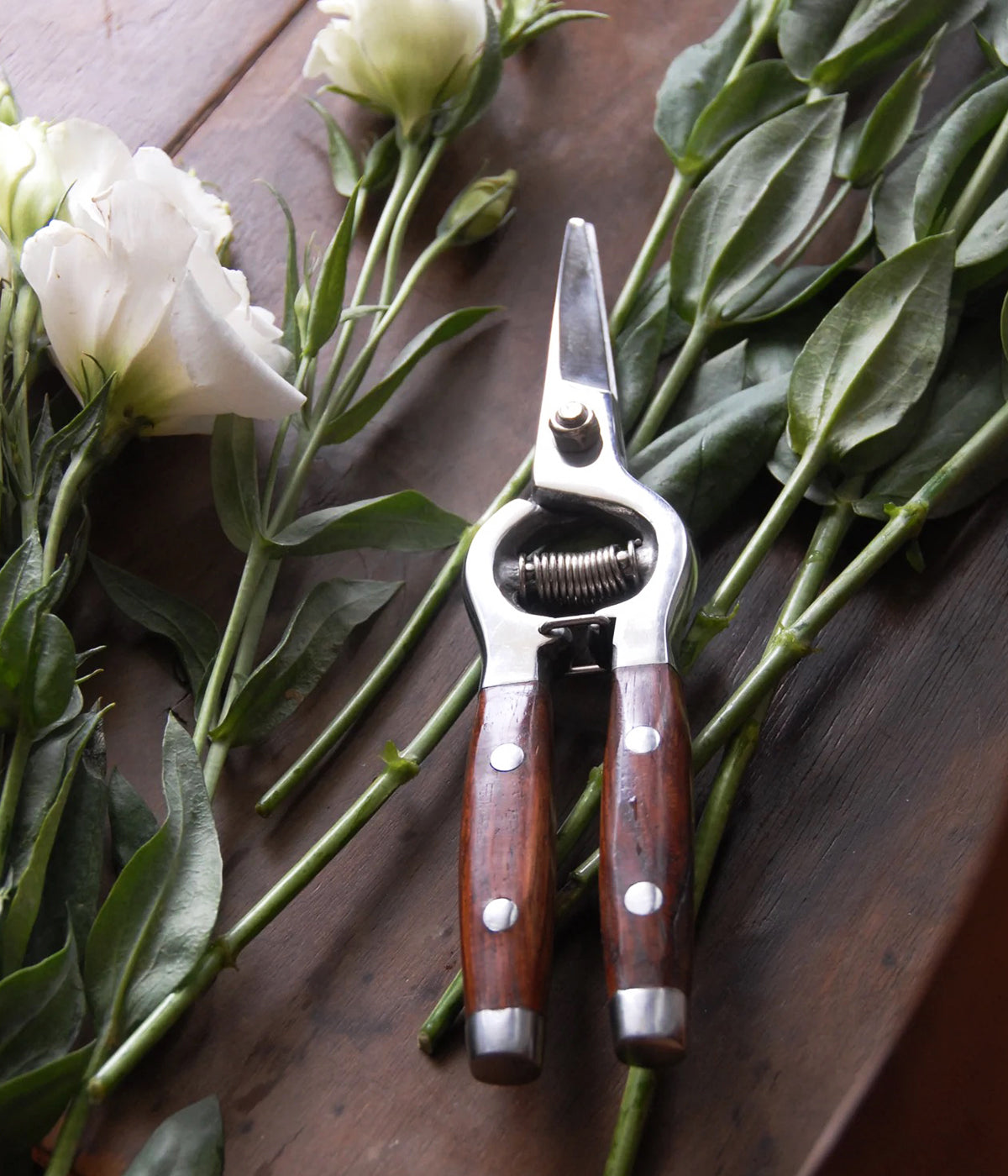 Compact Garden Shears with polished wood grips made for herb and flower trimming
