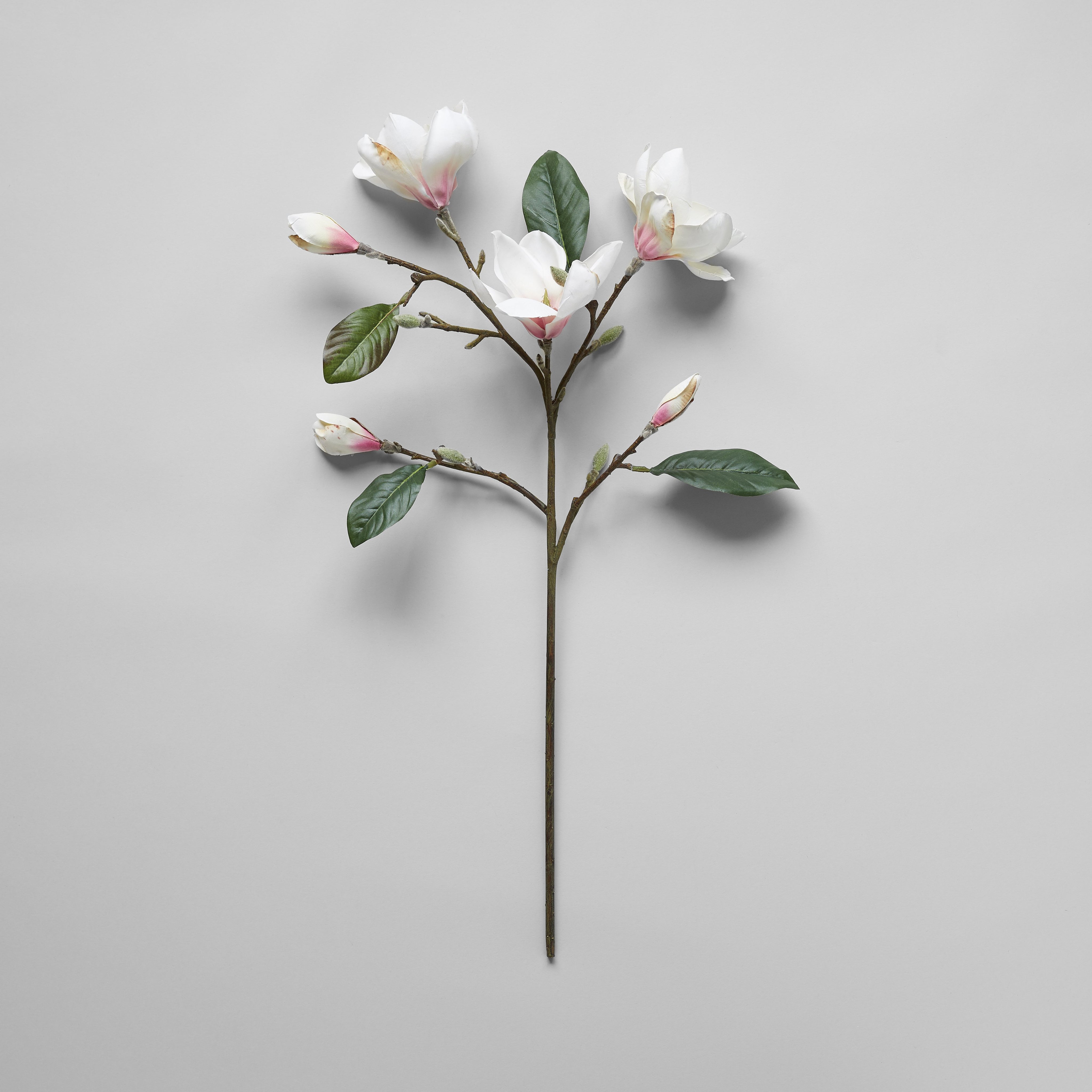EcoFaux Magnolia Campbellii Branch - Bloomist