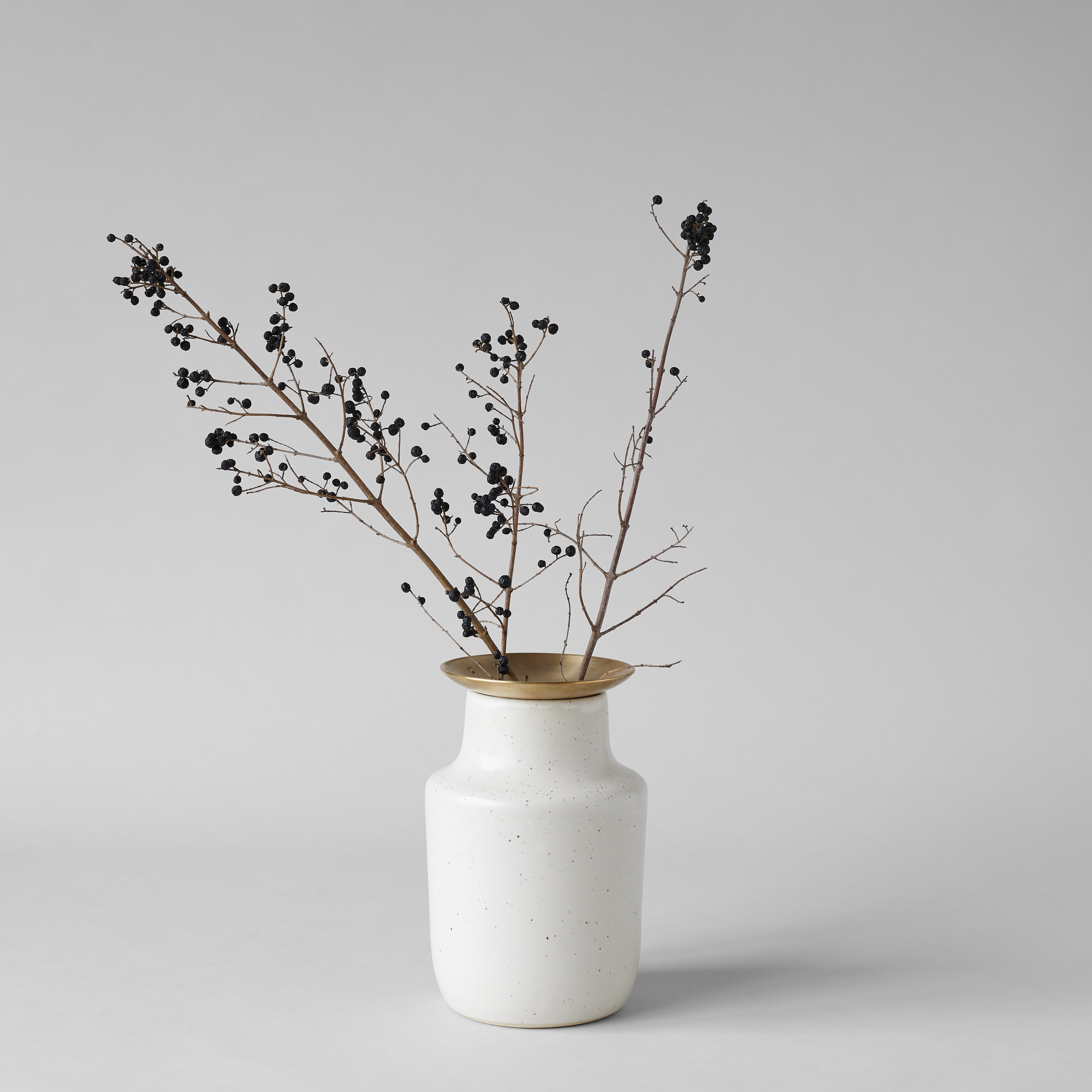 Brass Frogs - Bloomist