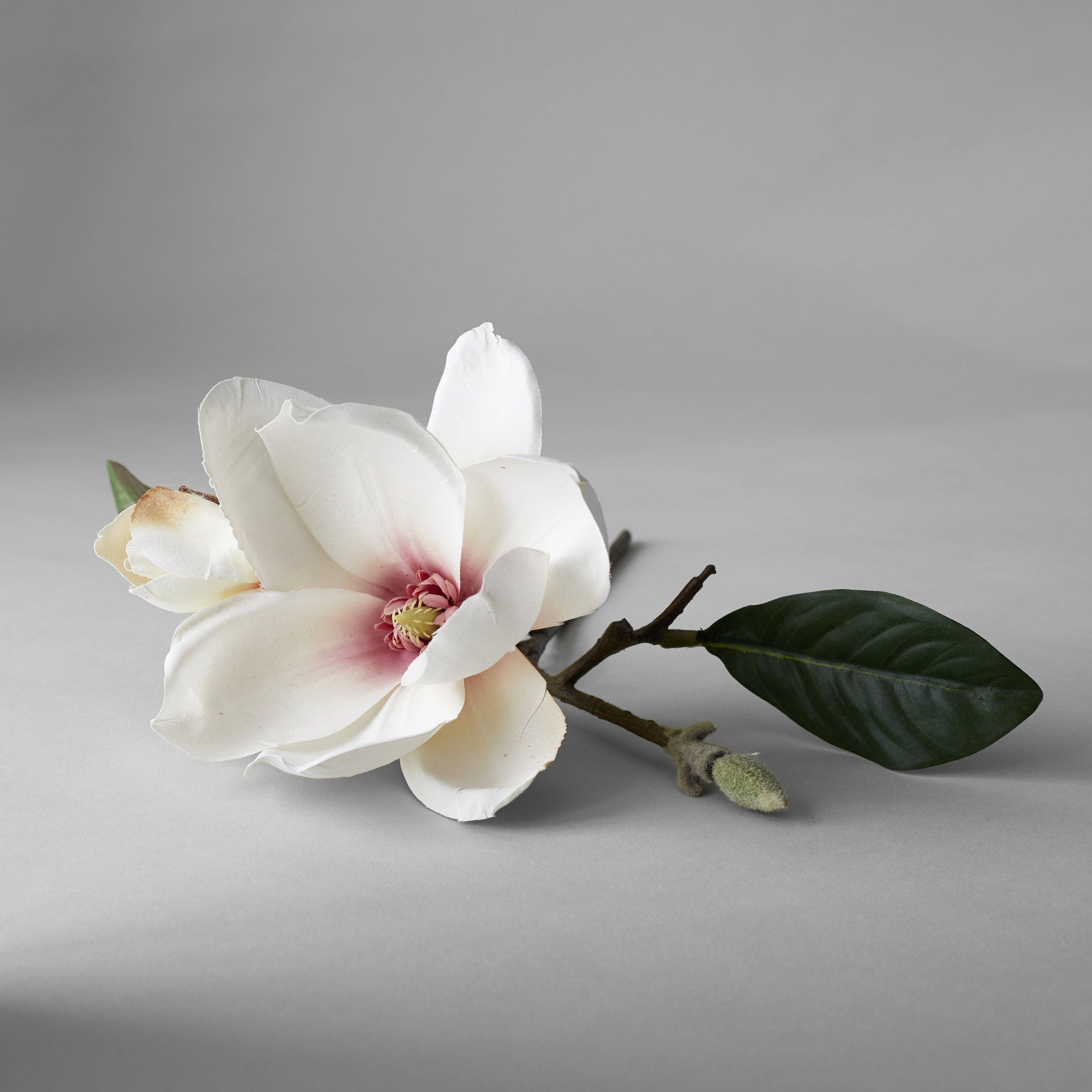 EcoFaux Magnolia Campbellii Branch, 12'' - Bloomist