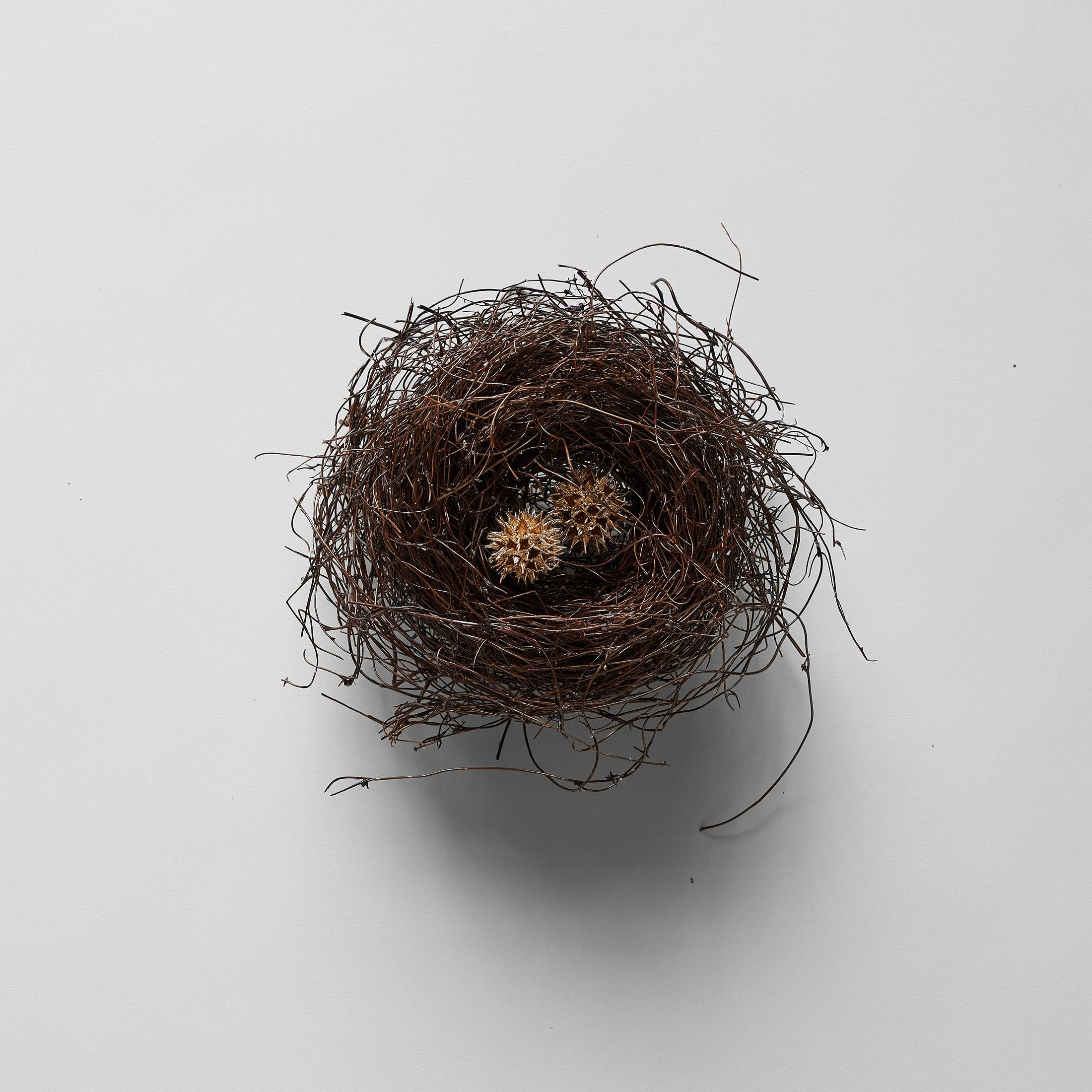 Goldleaf Sweet Gum Balls - Bloomist