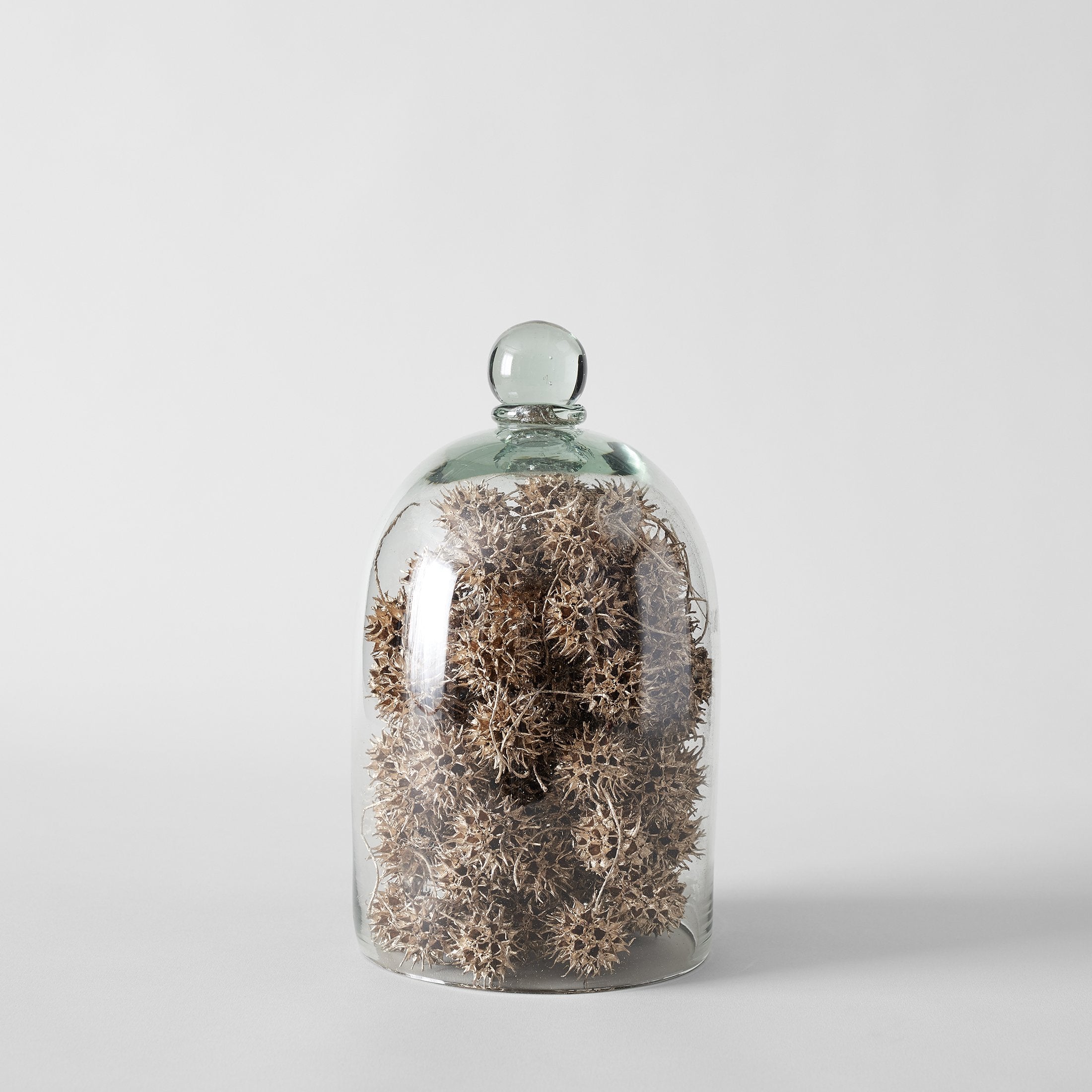 Goldleaf Sweet Gum Balls - Bloomist