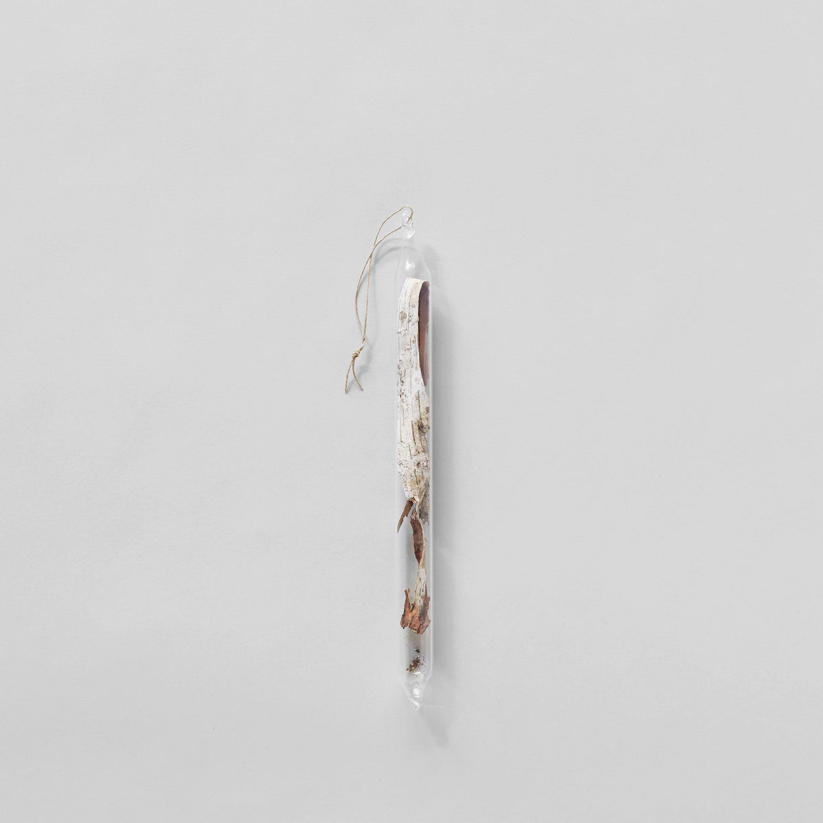 Hanging glass encapsulation with foraged birch bark hand-blown by LBK Studio