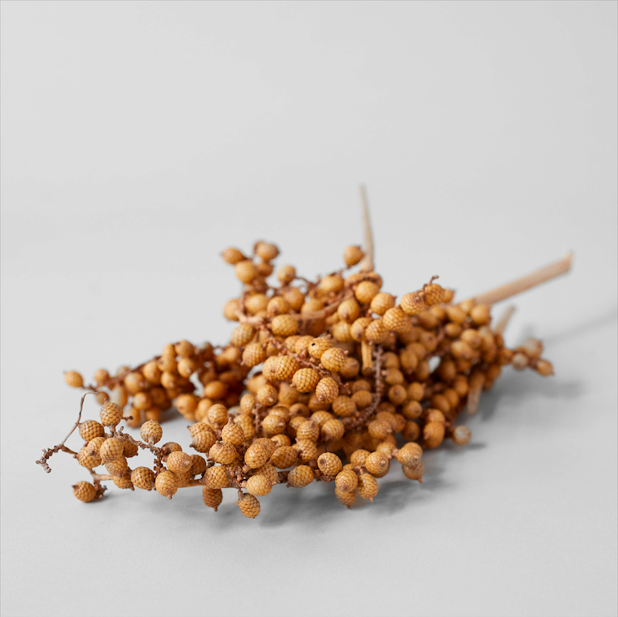 Dried Natural Canella - Bloomist