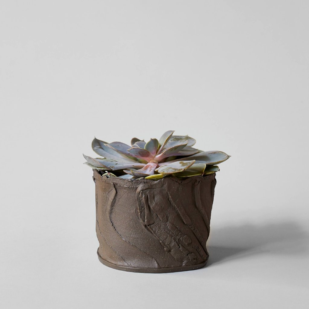 Bark Planter - Bloomist