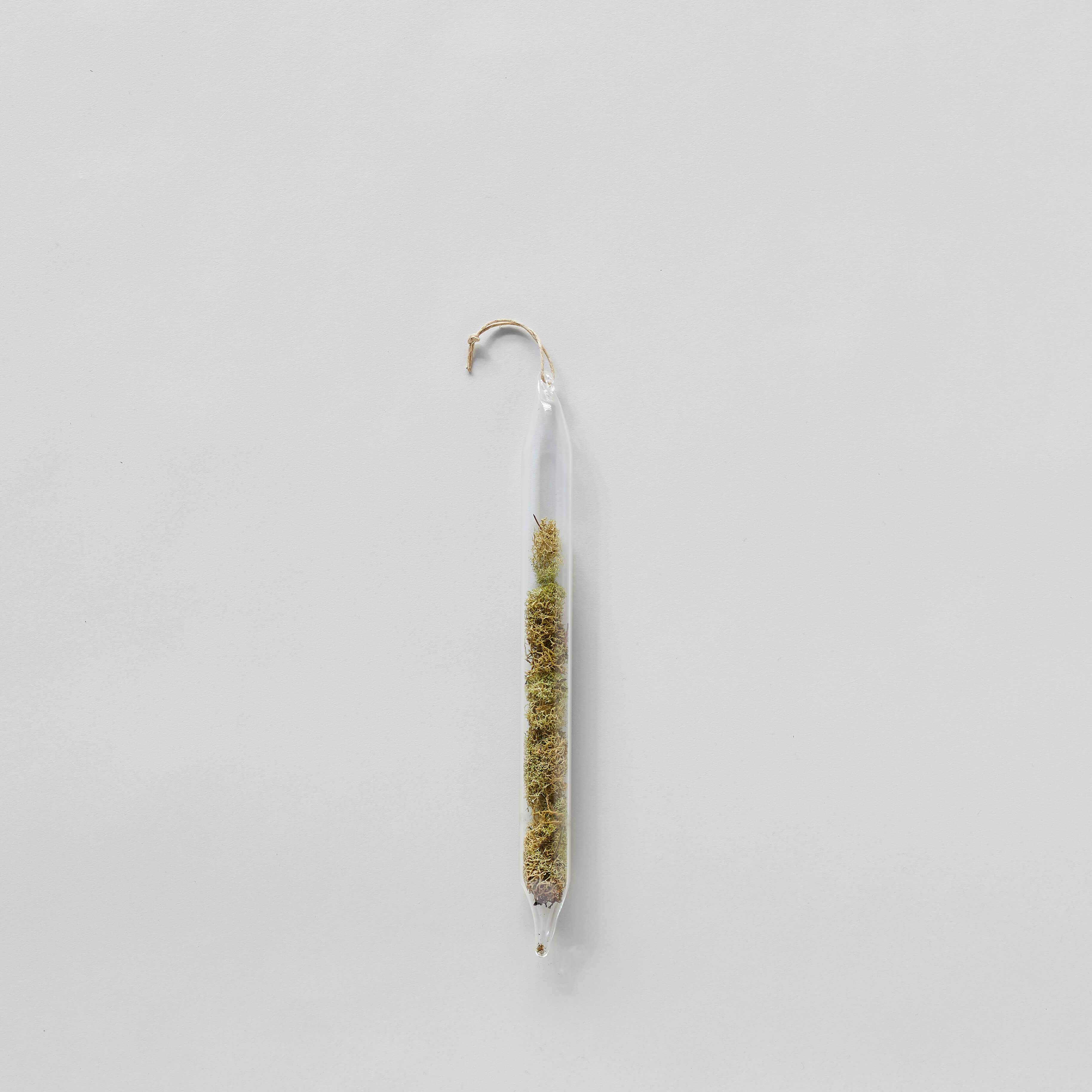 Hanging glass encapsulation with foraged moss natural element LBK Studio