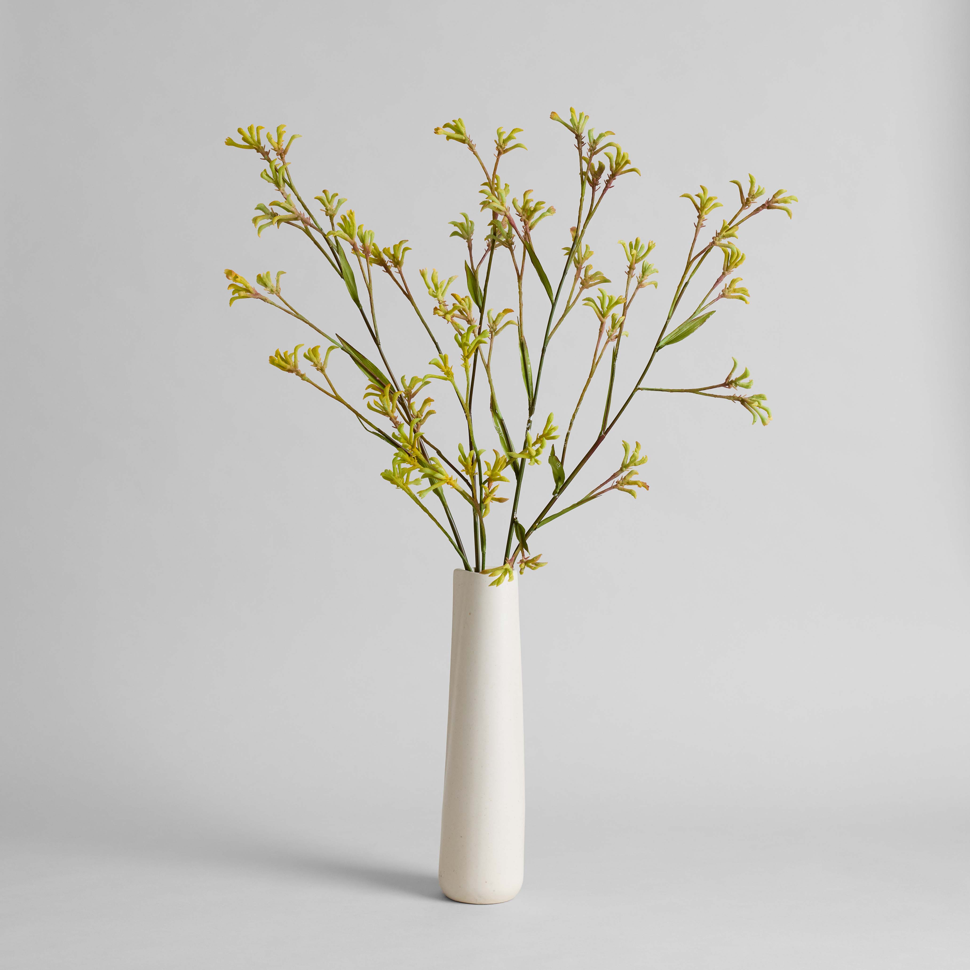 EcoFaux Kangaroo Paw Stem - Bloomist