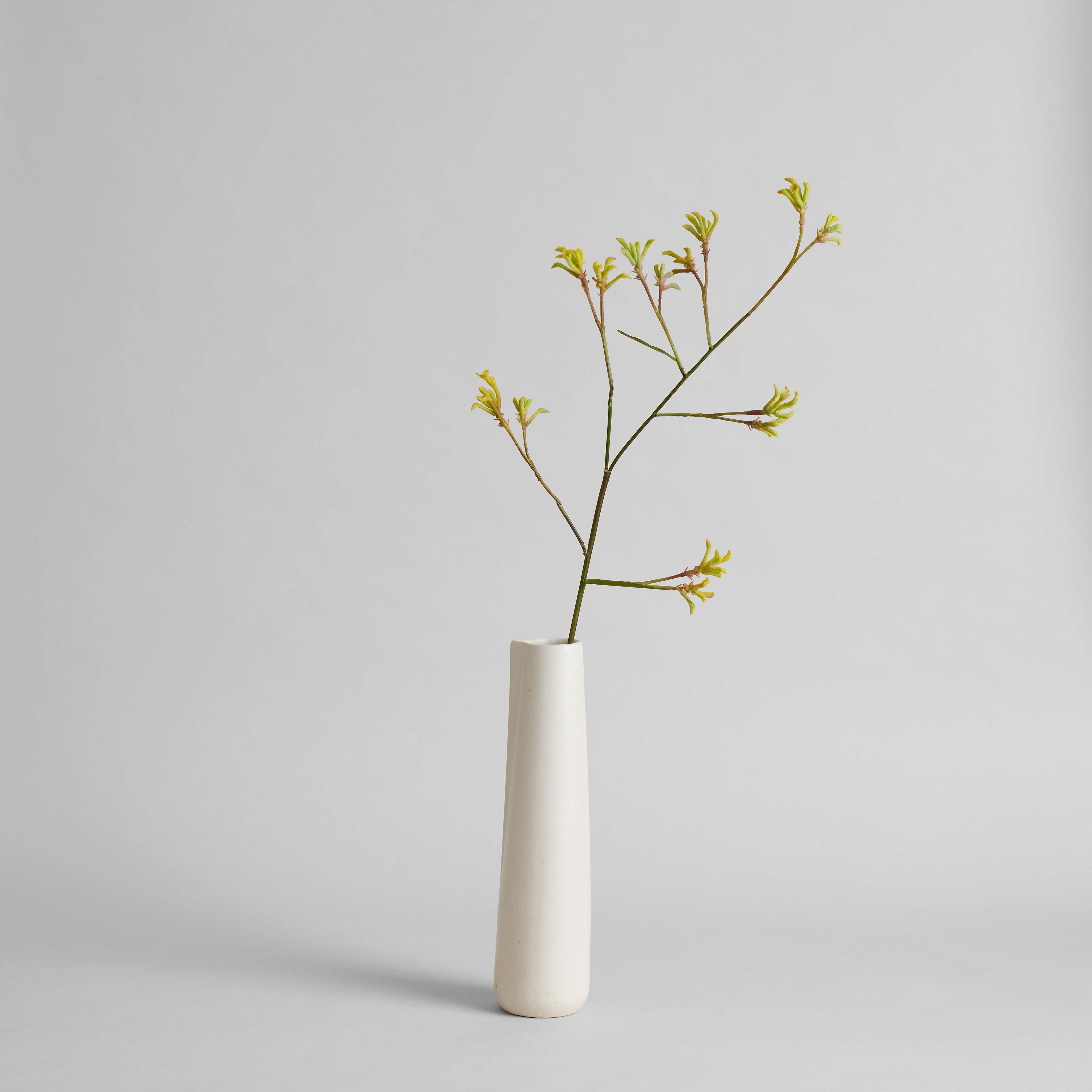 EcoFaux Kangaroo Paw Stem - Bloomist