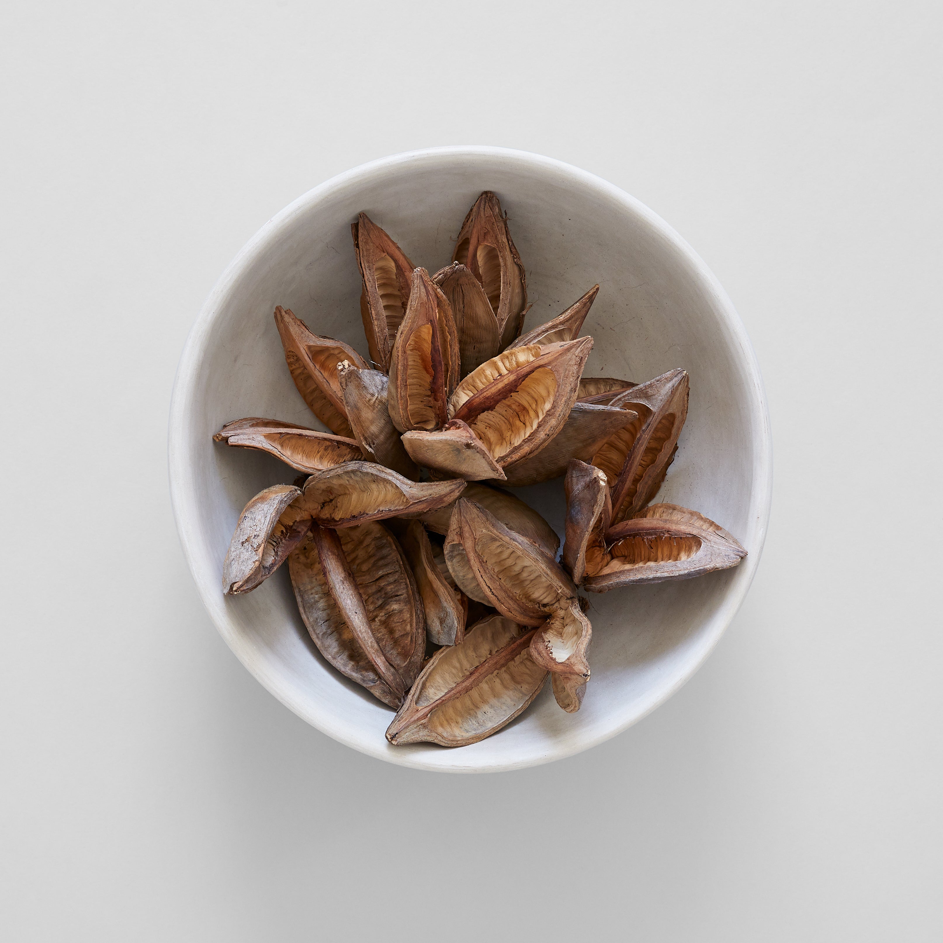 Natural Sora Pods - Bloomist