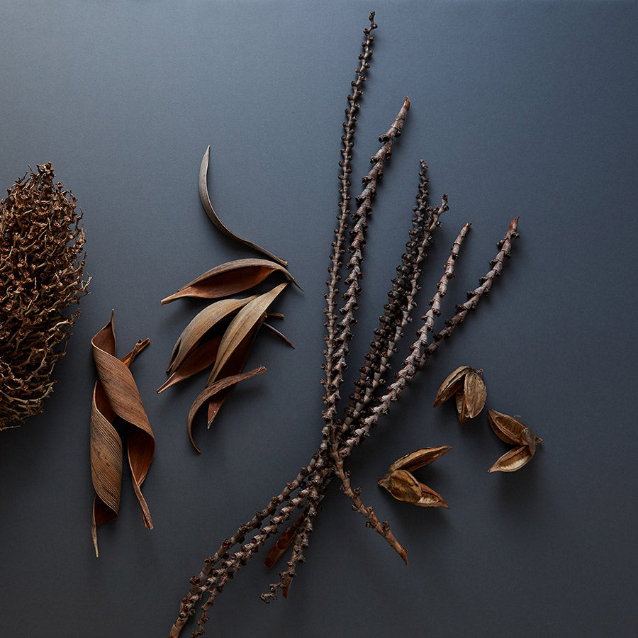 Natural Sora Pods - Bloomist