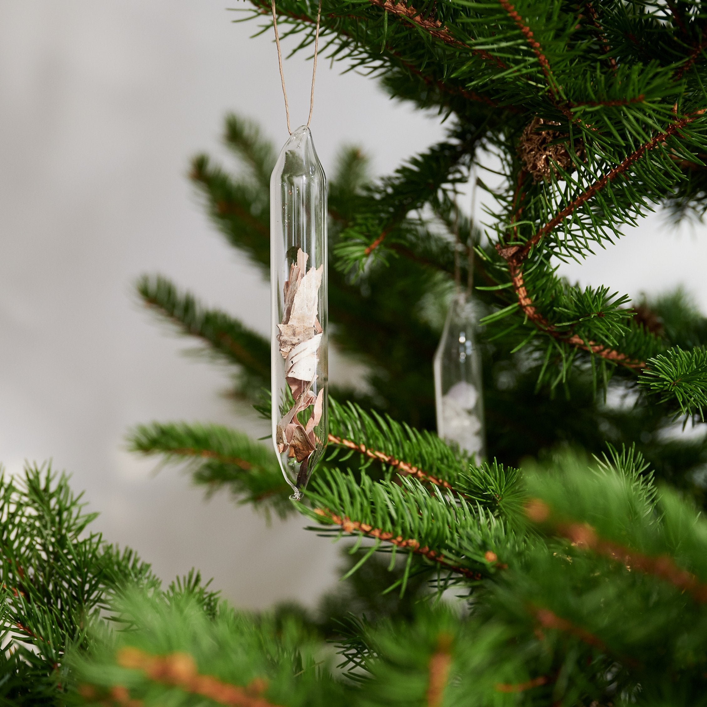 Hand-blown glass encapsulations with foraged natural elements Bloomist