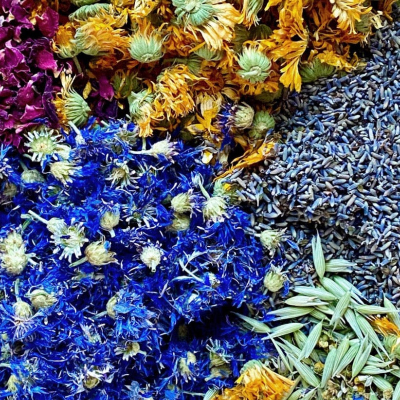 Star Bright Farm Herbal Tea Duo with Silver Tea Strainer - Bloomist