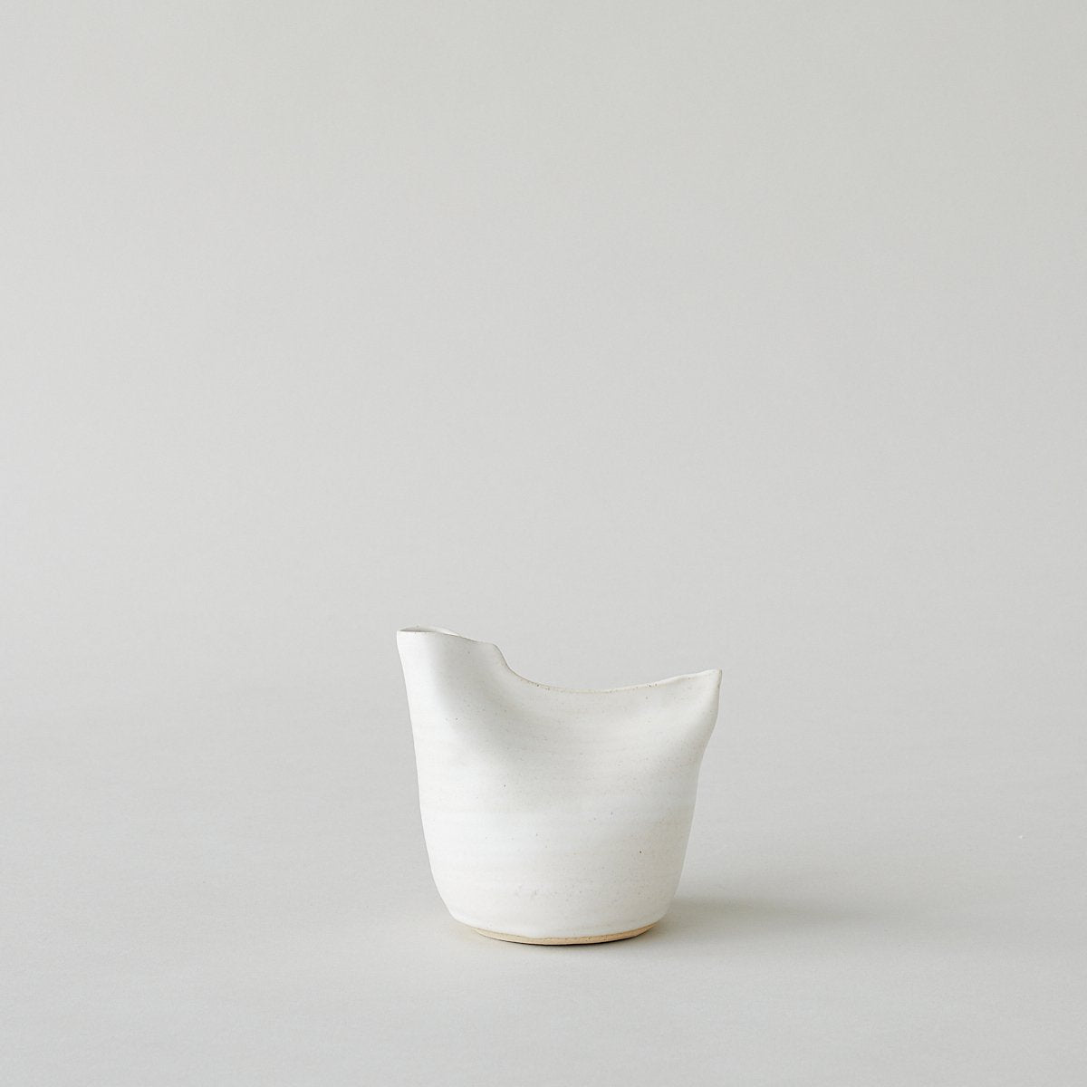 Bird Vase, White - Bloomist