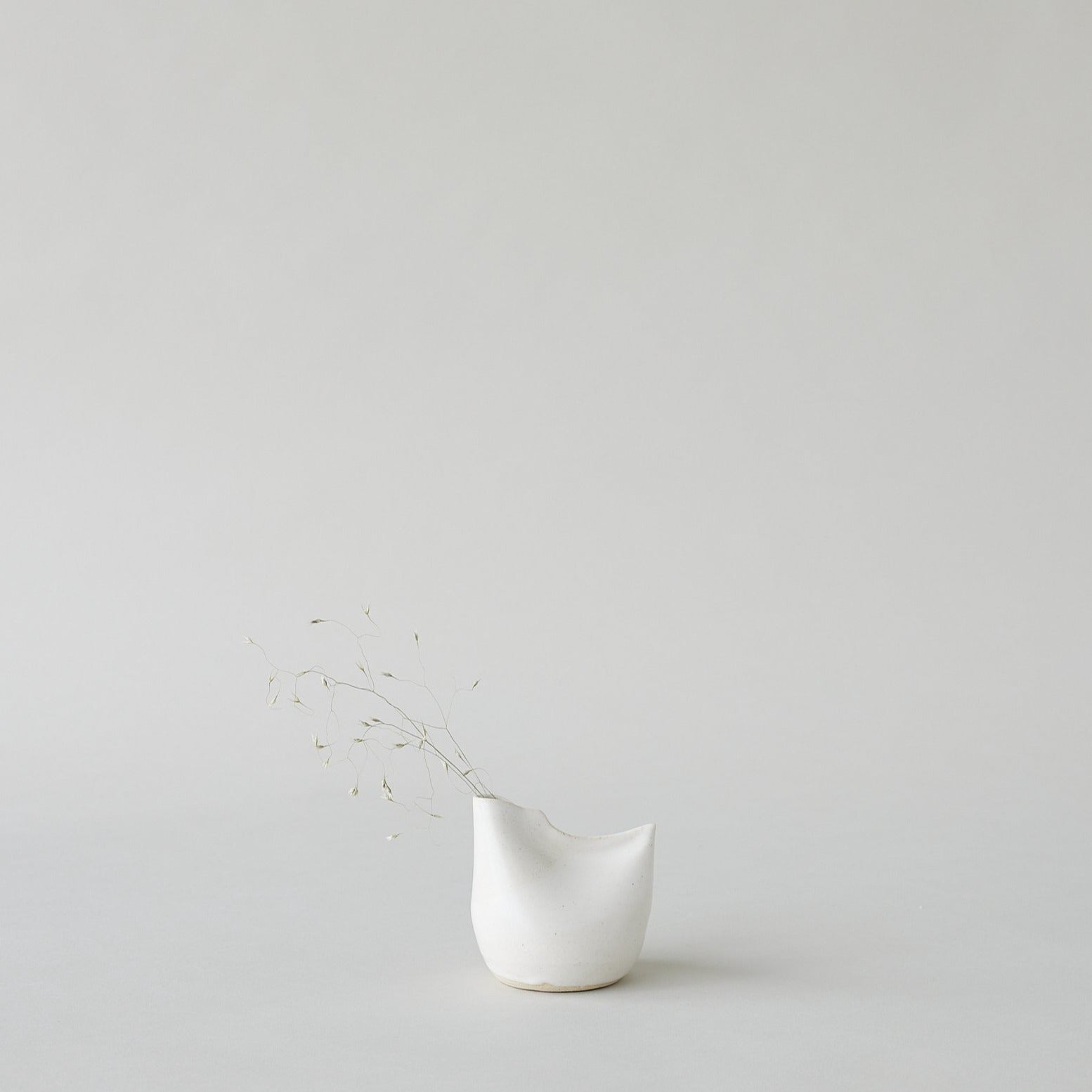 Bird Vase, White - Bloomist