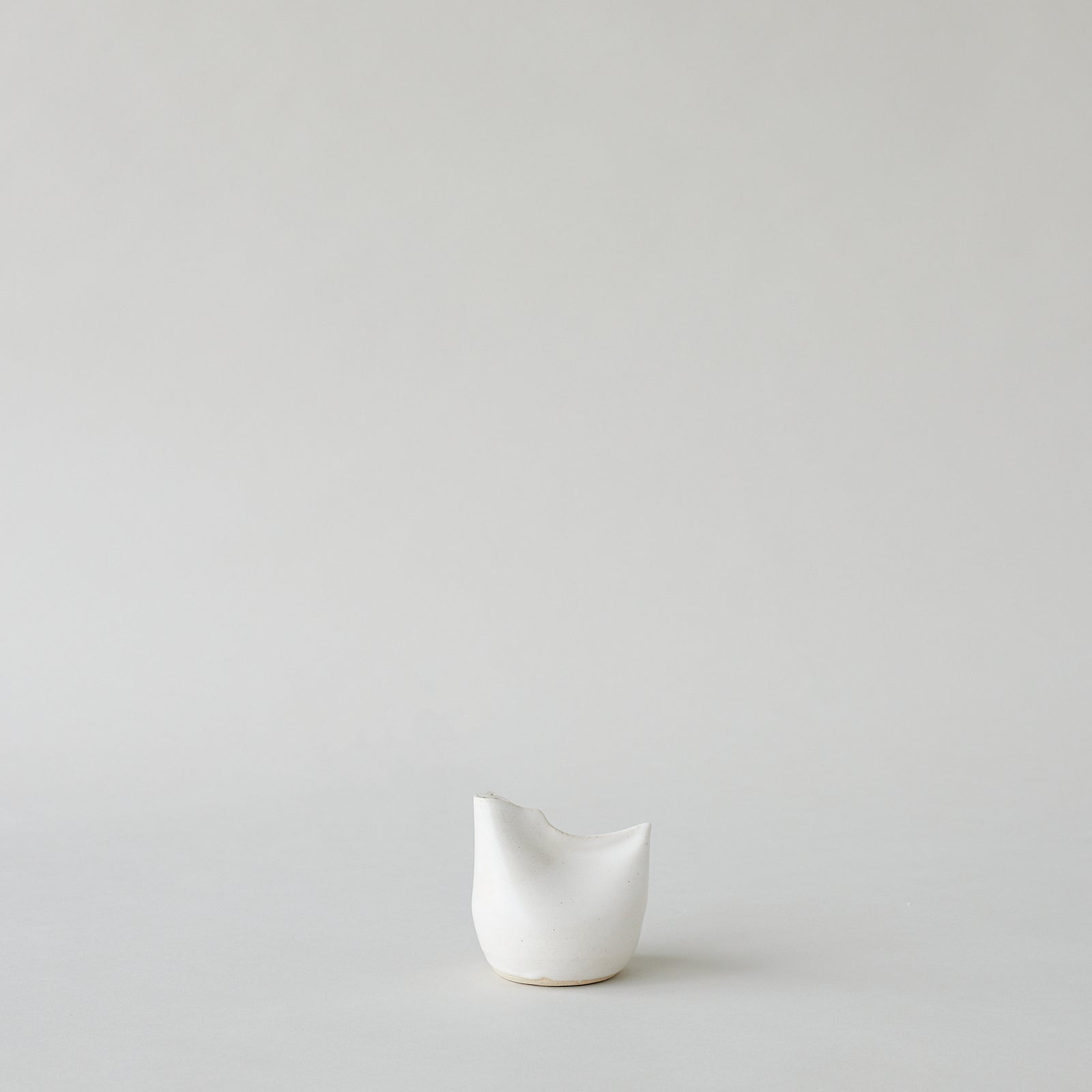 Bird Vase, White - Bloomist